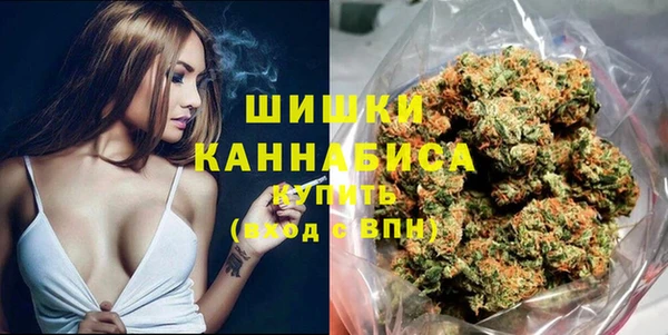сатива Дубна