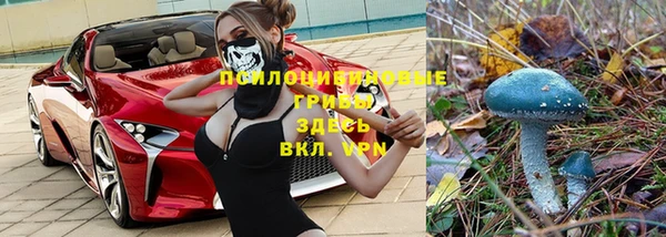 спайс Абинск