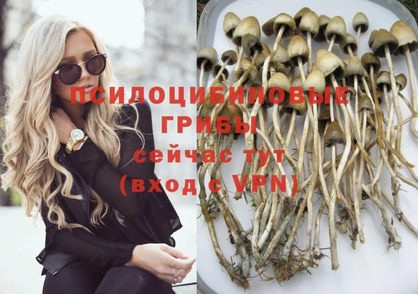 спайс Абинск
