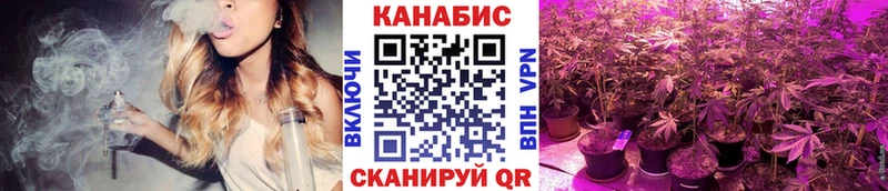 блэк спрут маркетплейс  Чухлома  Бошки марихуана SATIVA & INDICA 